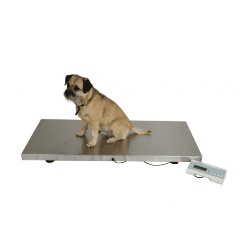 V-250 Veterinary Scales - Image 2