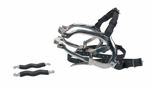 Millenium Speculum
