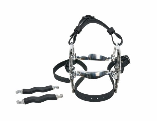Millenium Speculum - Image 2