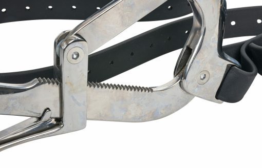 Millenium Speculum - Image 3