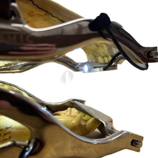 Equine Dentistry Speculum Light - Image 2