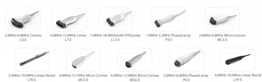 Chison EBit60 Medical Ultrasound - EBit 60 vet 161116 probes photo 1