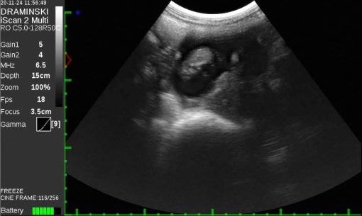 Draminski iScan 2 MULTI Ultrasound Scanner - Image 13