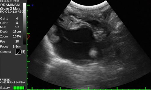 Draminski iScan 2 MULTI Ultrasound Scanner - Image 14