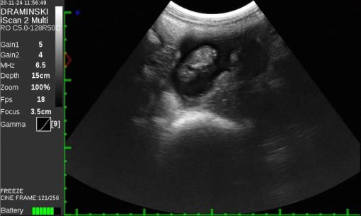 Draminski iScan 2 MULTI Ultrasound Scanner - Image 11