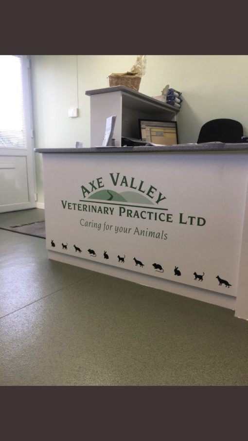 Sealwise Kennels - Image 7