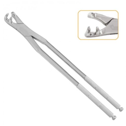 Three Root Forceps On Side 19"