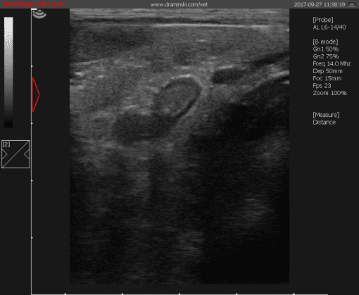 Draminski 4VET Slim Ultrasound - Image 7