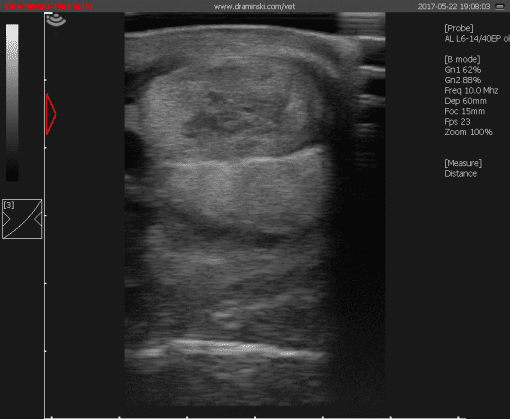 Draminski 4VET Slim Ultrasound - Image 8
