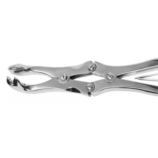 Four Prong Compound Cap Forceps 12" - Image 2