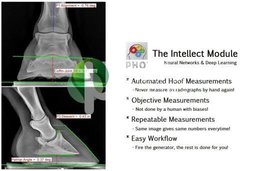 Equus Ultra DR Equine X-ray System - Equus DR