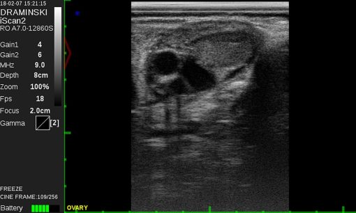 Draminski iScan 2 Ultrasound Scanner - Image 18