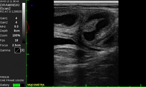 Draminski iScan 2 Ultrasound Scanner - Image 20