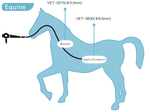 VET-9215HD High Definition Equine Bronchoscope & Small Animal Gastro-Colonoscope 9.2mm x 1.5m - Image 2