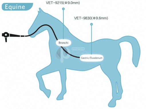 VET-1335HD High Definition Video Equine Gastroscope 12.8mm x 3.5m - Image 10