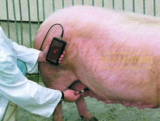 Draminski Pig Pregnancy Detector