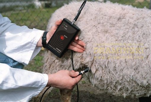 Draminski Sheep / Goat Pregnancy Detector