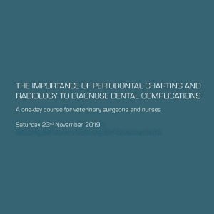 CPD - Dental X-Ray