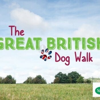 - Great British Dog Walk