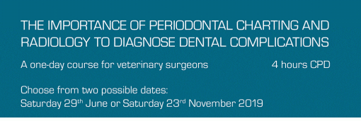 CPD - Dental X-Ray - Image 3