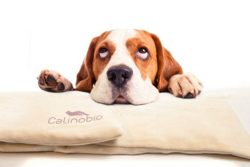 Calinobio Warming / Cooling Pad