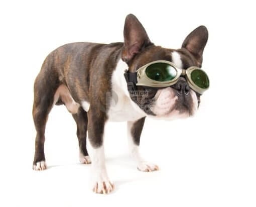 Laser Safety Doggles® Kit