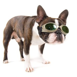 Laser Safety Doggles® Kit