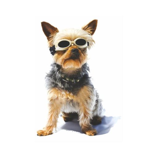 Laser Safety Doggles® Kit - Doggles 4