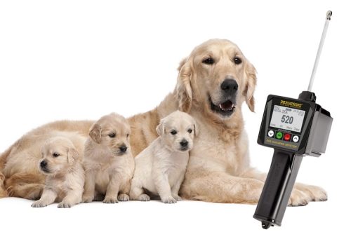 Draminski DOD2 Dog Ovulation Detector - Image 12