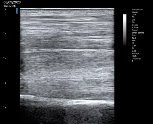 ASUS VET Wireless Ultrasound Probes - Image 8