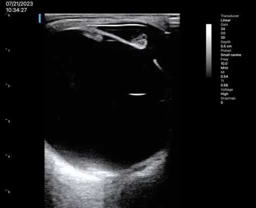 ASUS VET Wireless Ultrasound Probes - Image 7
