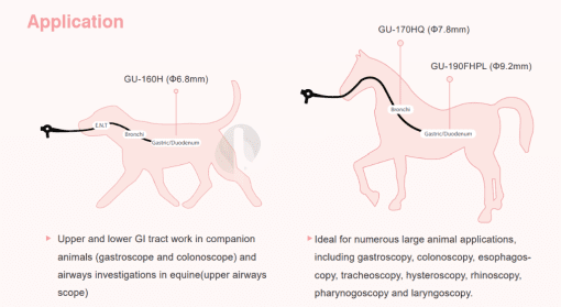 GU Series Veterinary Gastroscope - Image 3