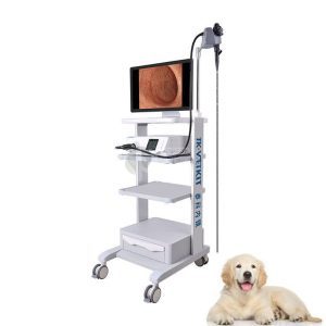 Bundle: Veterinary Laparoscopy Package