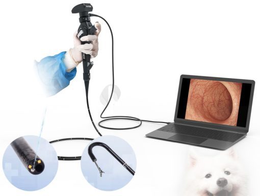 EU Series Veterinary HD USB Bronchoscope - Image 4