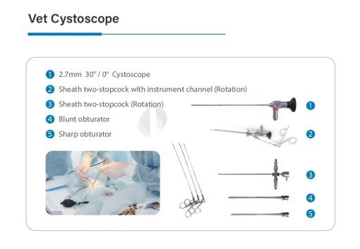 Veterinary Rigid Cystoscope Endoscope Set - Female - Image 2