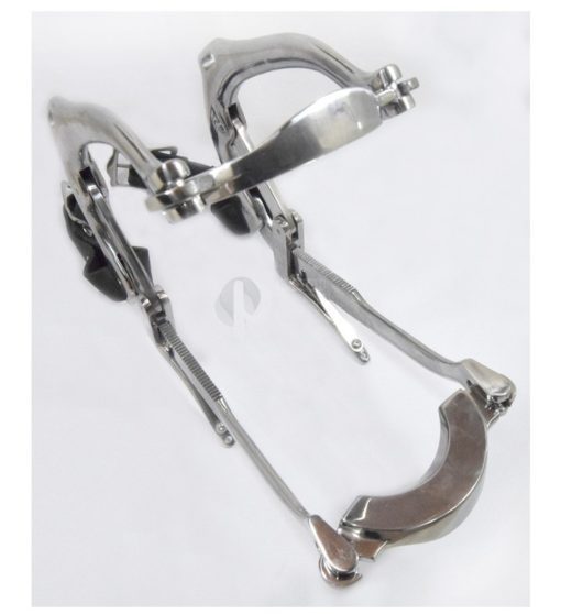 Equine Millenilum Mouth Gag